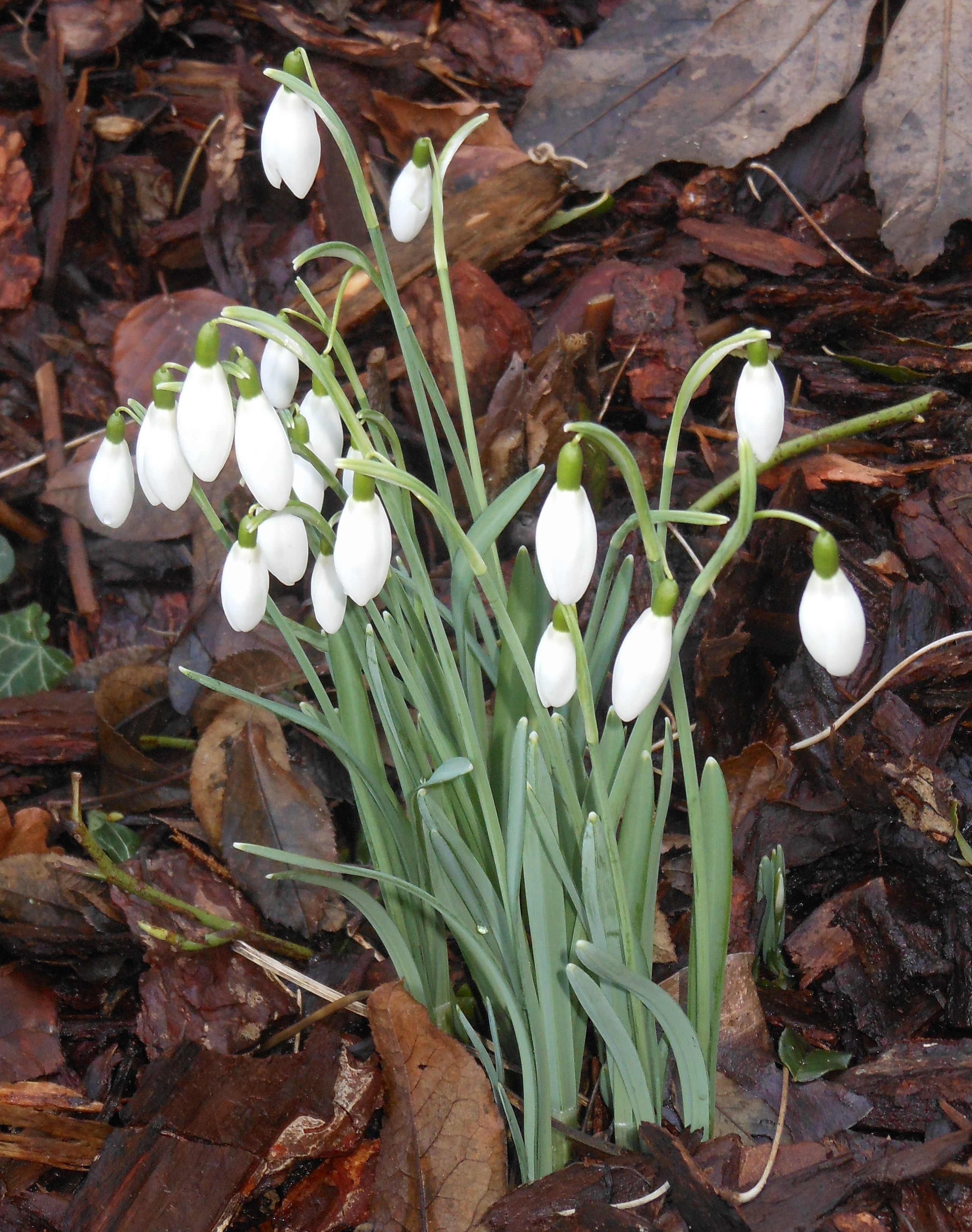 Blog/April 20 Blog pic 2